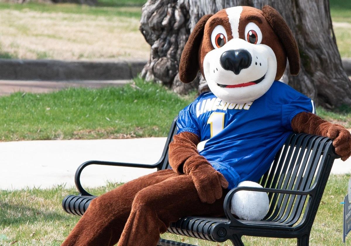 Bernie chillin on front campus