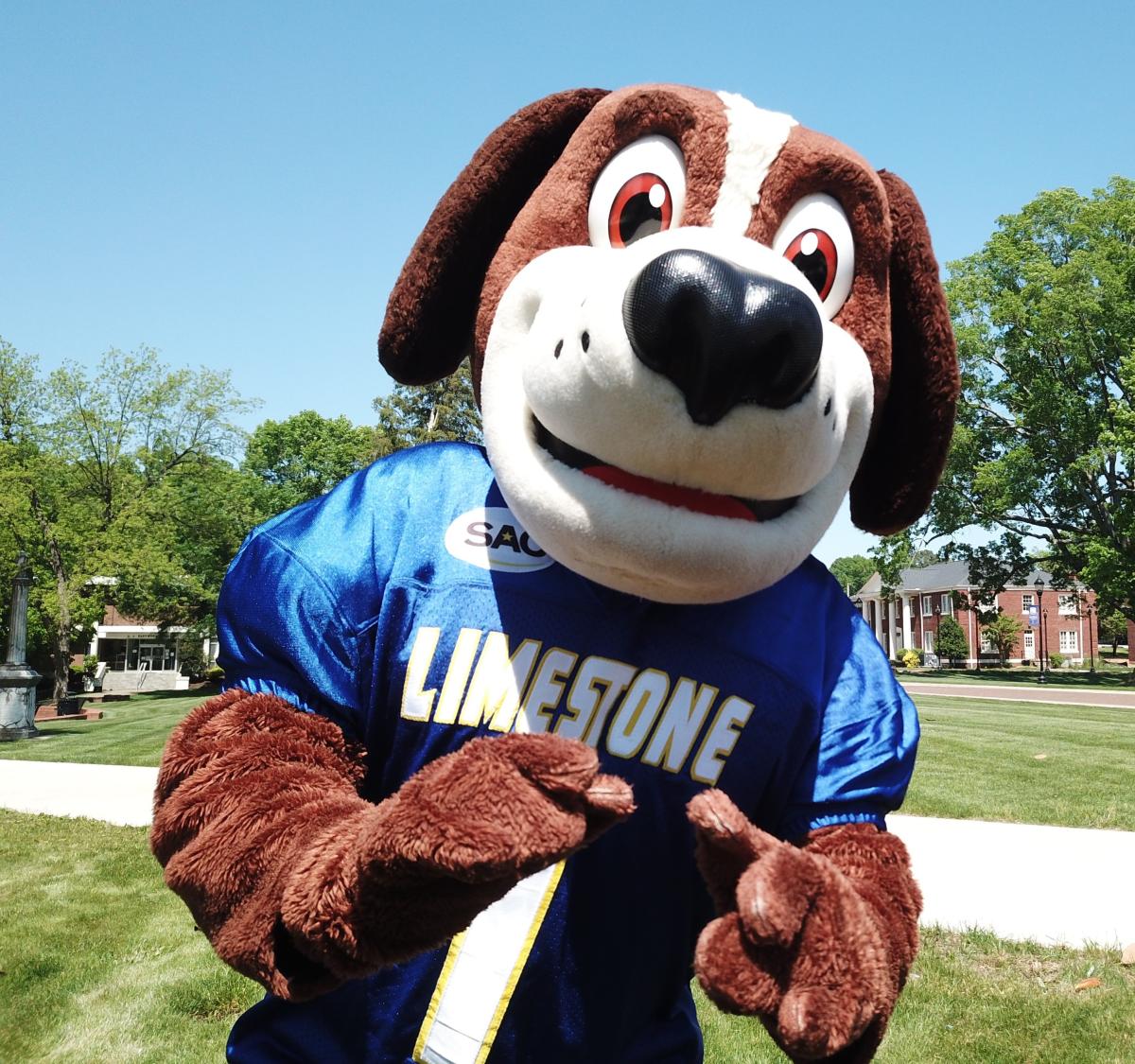 Bernie wants you to be a Saint