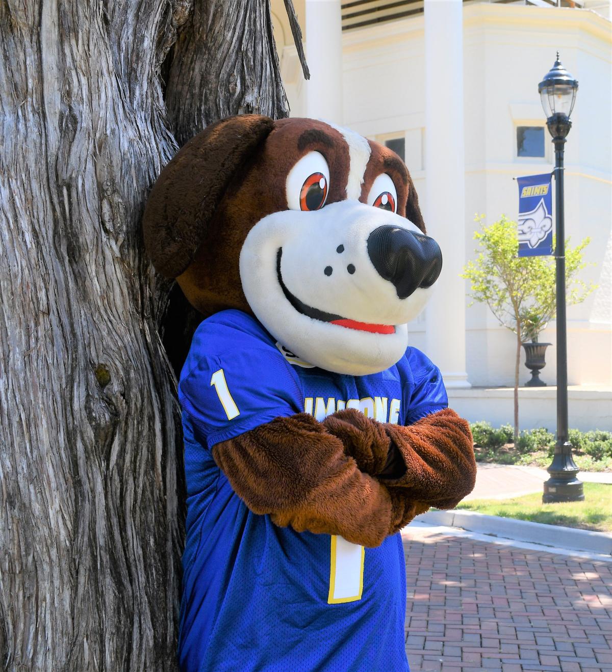 Bernie posing at tree