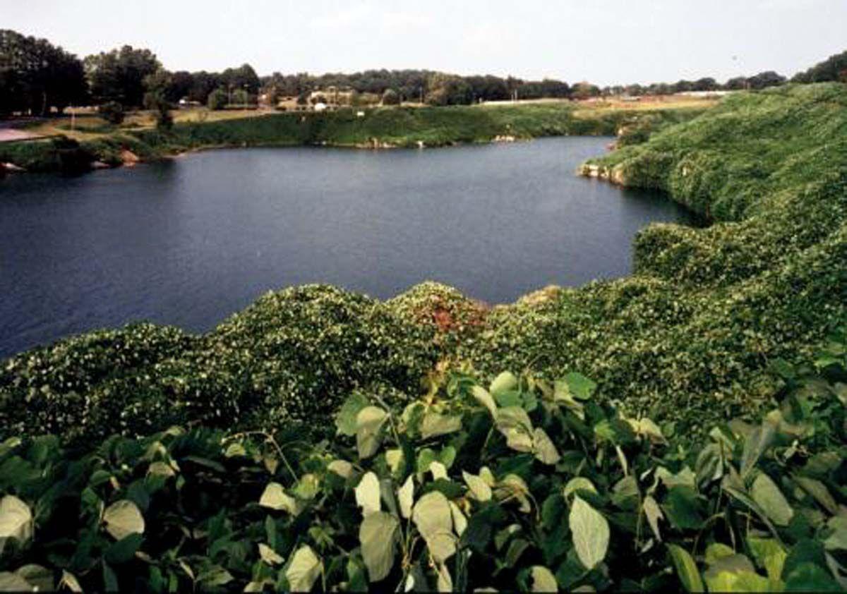 Limestone Quarry view from Victory Bell tower